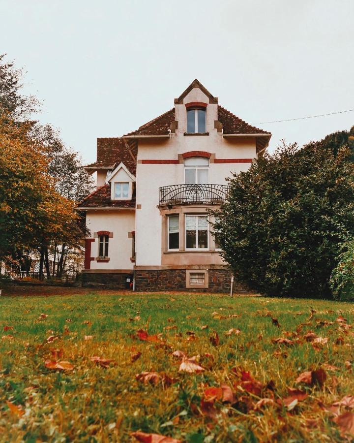 La Maison Du Markstein Linthal Buitenkant foto